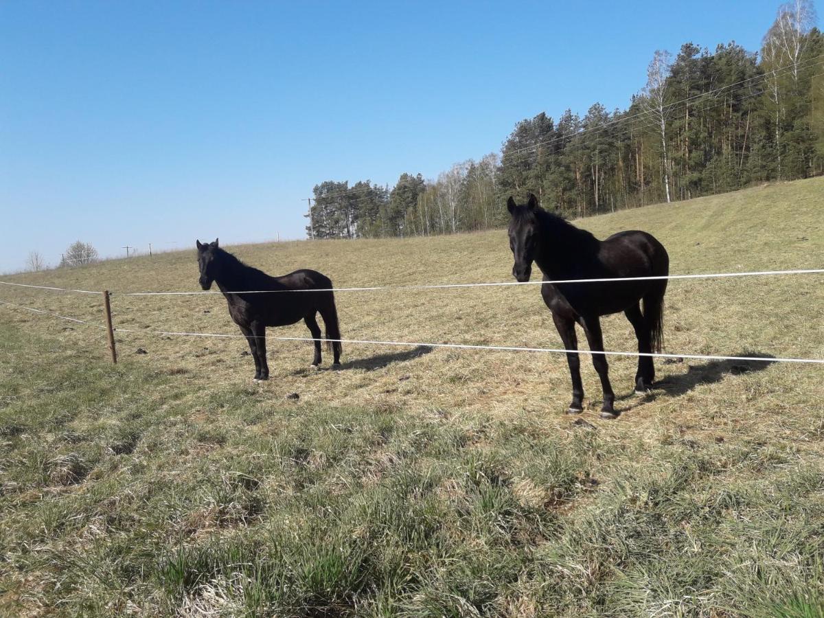 Apartamenty Lubiewo Mikołajki Exteriér fotografie